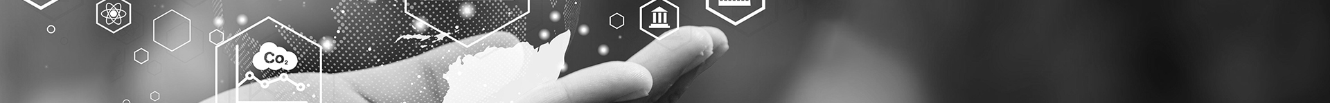 Assurance Report of the Independent German Public Auditor
